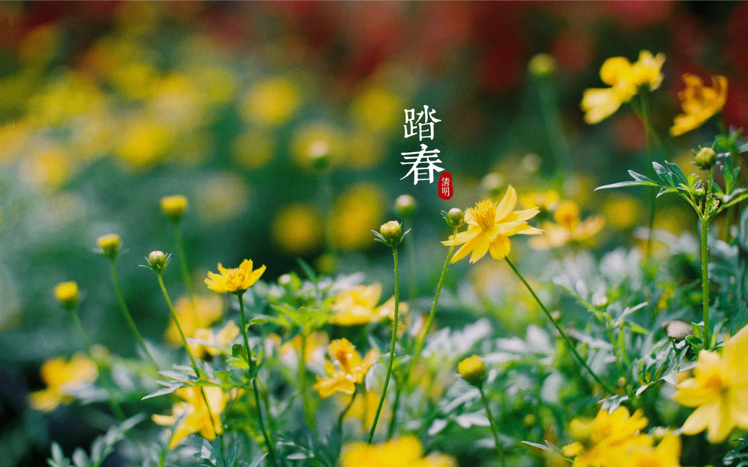 和记清明放假通知及温馨提醒