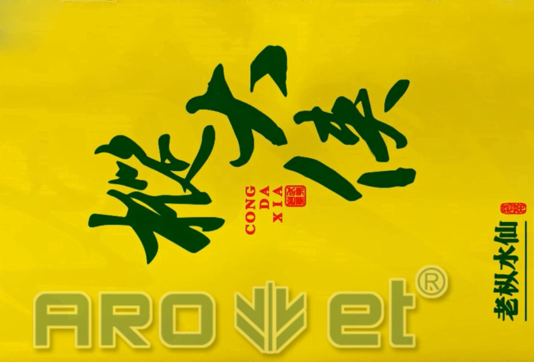 和记茶叶包装袋喷印装备在客户现场喷印视频
